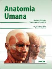 Anatomia umana