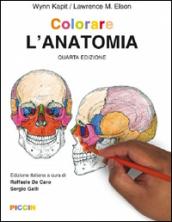 Colorare l'anatomia