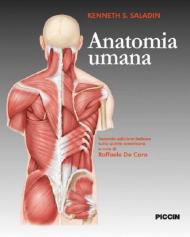 Anatomia umana