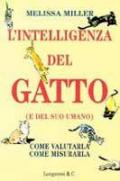 L' intelligenza del gatto (e del suo umano)