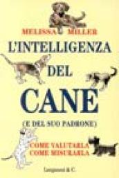 L'intelligenza del cane (e del suo padrone)