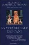 La vita sociale dei cani