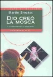 Dio creò la mosca