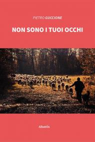 Non sono i tuoi occhi