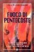 Fuoco di Pentecoste. Missione e spiritualità delle Figlie di Maria Santissima dell'Orto