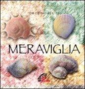 Meraviglia. Un dono per te. Con gadget