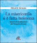 La misericordia si è fatta tenerezza. Spunti di meditazione dal Vangelo di Luca