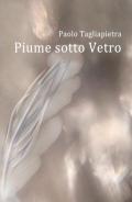 Piume sotto vetro