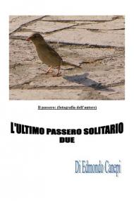 L' ultimo passero solitario