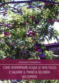 Come risparmiare acqua (e non solo) e salvare il pianeta secondo Gelsomino