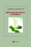 Sponde di ponti invisibili