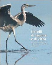 Uccelli di laguna e di città. L'atlante ornitologico nel comune di Venezia 2006-2011. Ediz. illustrata