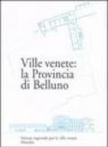 Ville venete: la provincia di Belluno