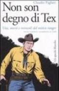 Non son degno di Tex. Vita, morti e miracoli del mitico ranger