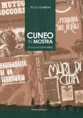 Cuneo in mostra. 22 racconti (1979-1991)