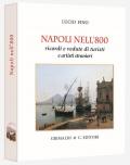 Napoli nell'800. Ricordi e vedute di turisti e pittori. Ediz. limitata