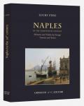 Naples in the Nineteenth century. Memoirs and vedute by foreign tourists and artists. Ediz. illustrata