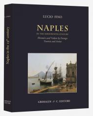Naples in the Nineteenth century. Memoirs and vedute by foreign tourists and artists. Ediz. illustrata