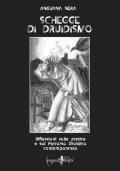 Schegge di druidismo. Riflessioni sulla pratica e sul percorso druidico contemporaneo