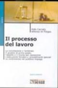 Il processo del lavoro. La conciliazione e l'arbitrato. Il procedimento di primo grado, l'appello e il ricorso per la Cassazione. L'esecuzione forzata.