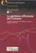 La gestione efficiente del comune. Contabilità economico patrimoniale, analitica, budget e reporting