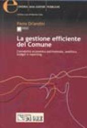 La gestione efficiente del comune. Contabilità economico patrimoniale, analitica, budget e reporting