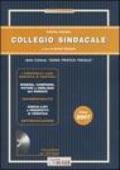 Collegio sindacale 2007. Con CD-ROM