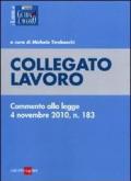 COLLEGATO LAVORO Tutte le novità del collegato lavoro 2010 Commento alla legge 4 novembre 2010, n. 183