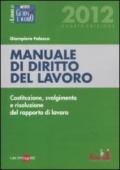 Manuale di diritto del lavoro. Costituzione, svolgimento e risoluzione del rapporto di lavoro