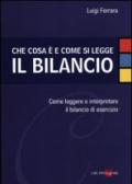 Che cosa è e come si legge il bilancio. Come leggere e interpretare il bilancio di esercizio