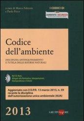Codice dell'ambiente. Disciplina antinquinamento e tutela delle risorse naturali. Con CD-ROM