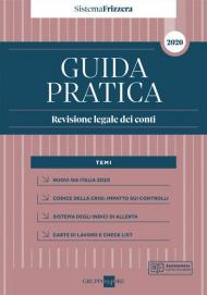 Guida pratica. Revisione legale dei conti