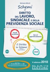 Schemi di diritto del lavoro, sindacale e della previdenza sociale