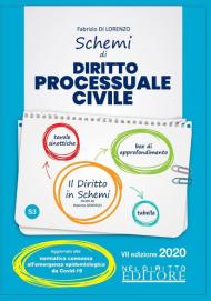 Schemi di diritto processuale civile