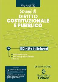 Schemi di diritto costituzionale e pubblico