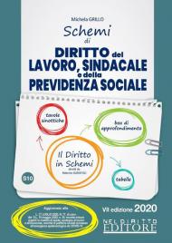 Schemi di diritto del lavoro, sindacale e della previdenza sociale