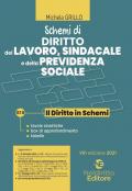 Schemi di diritto del lavoro, sindacale e della previdenza sociale