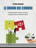 Le unioni dei Comuni. Il conferimento delle funzioni per una ricerca di maggiore efficienza ed efficacia dei servizi