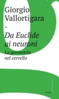 Da Euclide ai neuroni. La geometria nel cervello