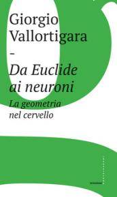 Da Euclide ai neuroni. La geometria nel cervello