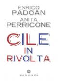 Cile in rivolta