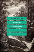 Storia di un ruscello