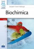 Biochimica. Con software di simulazione