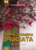 Terra d'ombra bruciata