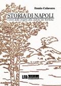 Storia di Napoli. Cenni dalle origini alla caduta dei Borbone