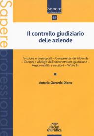 Il controllo giudiziario delle aziende