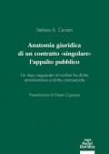 Anatomia giuridica di un contratto «singolare»: l'appalto pubblico. Un «tipo negoziale» al confine fra diritto amministrativo e diritto commerciale