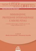 Immigrazione, protezione internazionale e misure penali