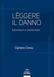 Leggere il danno. Grammatica di un concetto plurale