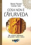 Cosa non è l'Ayurveda. Alla scoperta dell'essenza del pensiero medico indiano